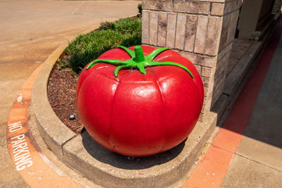 Outdoor tomato sculpture next to building entrance